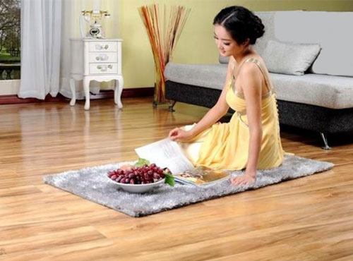 電熱膜電地暖 電熱膜電地暖